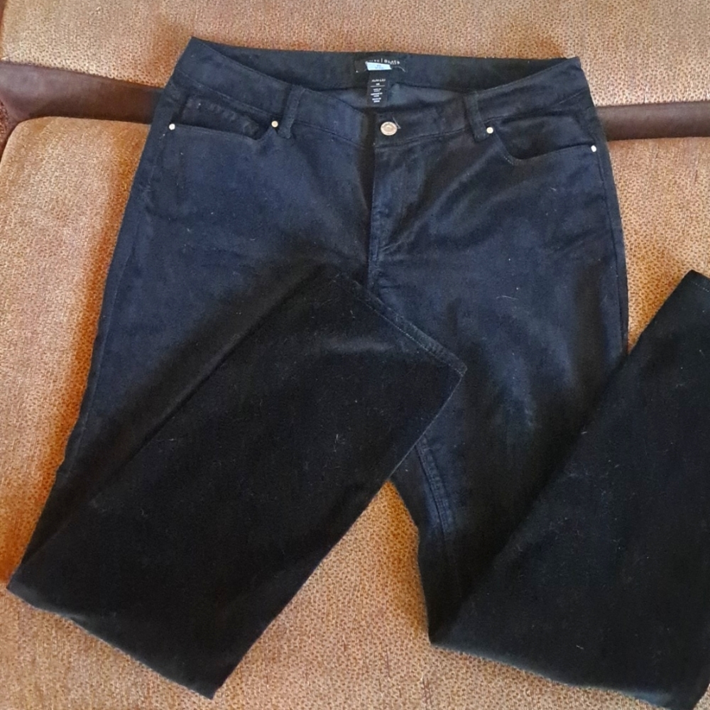 White House/ Black Market Velvet Jeans